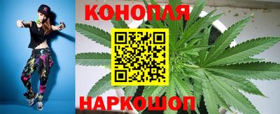 трава Новодвинск