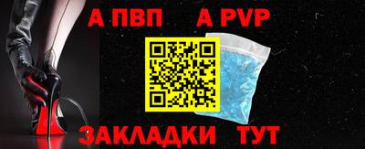 a pvp Новозыбков