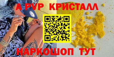 a pvp Новозыбков