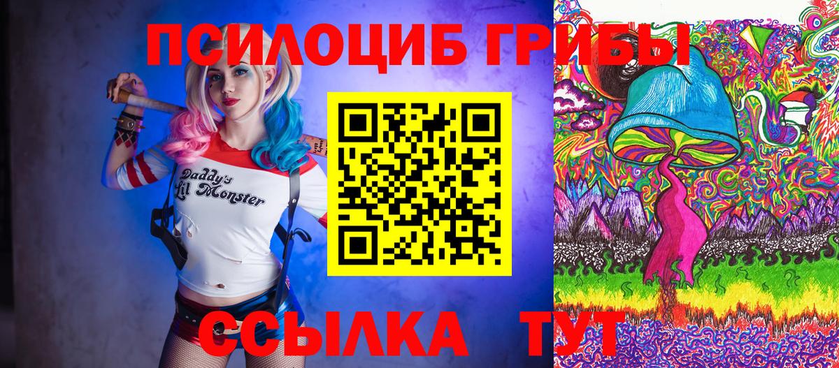 Омск  Галлюциногенные грибы прущие грибы  Галлюциногенные грибы мухоморы  Вход с VPN 